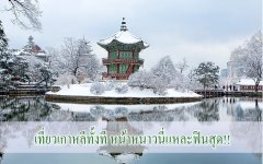 เที่ยวเกาหลีทั้งที หน้าหนาวนี่แหละฟินสุด!!