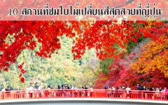 10 สถานที่ชมใบไม้เปลี่ยนสีญี่ปุ่น