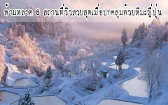 ห้ามพลาด 8 สถานที่วิวสวยสุดเมื่อปกคลุมด้วยหิมะญี่ปุ่น