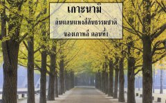 เกาะนามิ ดินแดนแห่งสีสันธรรมชาติของเกาหลี ตอนที่1