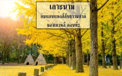 เกาะนามิ ดินแดนแห่งสีสันธรรมชาติของเกาหลี ตอนที่2